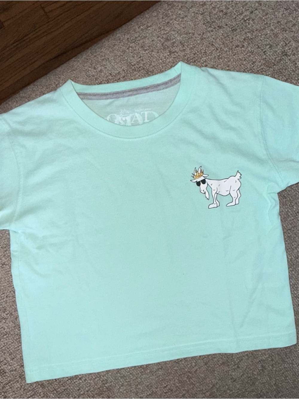 Mint Green Kids Short Sleeve Tee with Goat Graphic